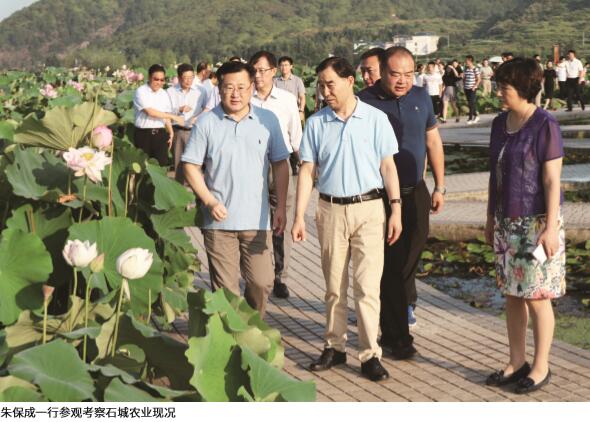 莲花乡里话品牌 精准扶贫促发展