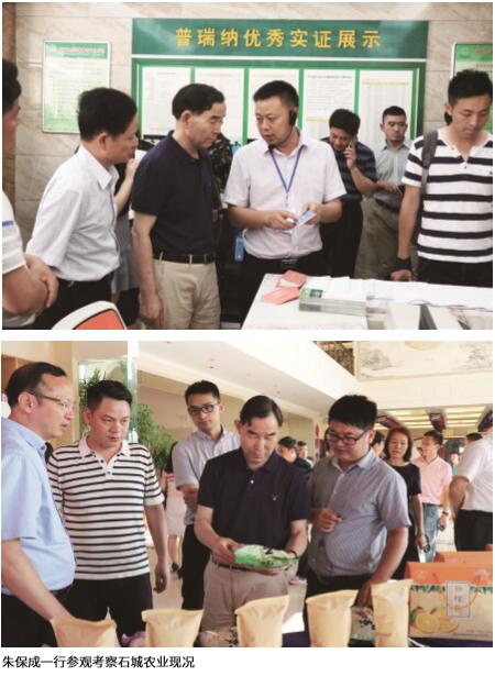 莲花乡里话品牌 精准扶贫促发展