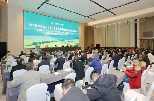 1736310600757851.png image.png